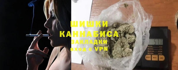 ГАЛЛЮЦИНОГЕННЫЕ ГРИБЫ Няндома