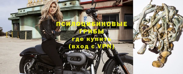 ГАЛЛЮЦИНОГЕННЫЕ ГРИБЫ Няндома