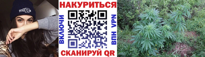 Канабис OG Kush ссылка на мегу Сорск